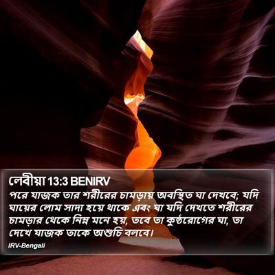 লেবীয়া 13:3 BENIRV Bible Verse Image
