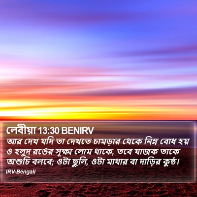 লেবীয়া 13:30 BENIRV Bible Verse Image