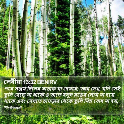 লেবীয়া 13:32 BENIRV Bible Verse Image