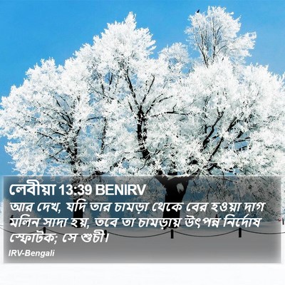 লেবীয়া 13:39 BENIRV Bible Verse Image