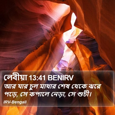 লেবীয়া 13:41 BENIRV Bible Verse Image