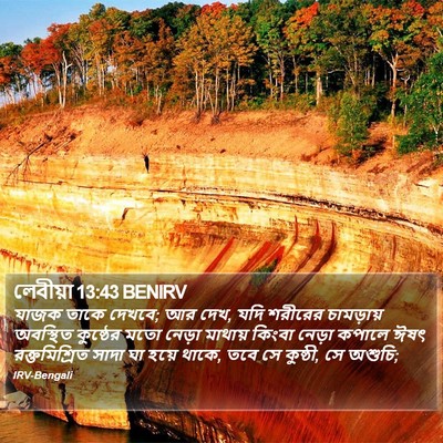 লেবীয়া 13:43 BENIRV Bible Verse Image