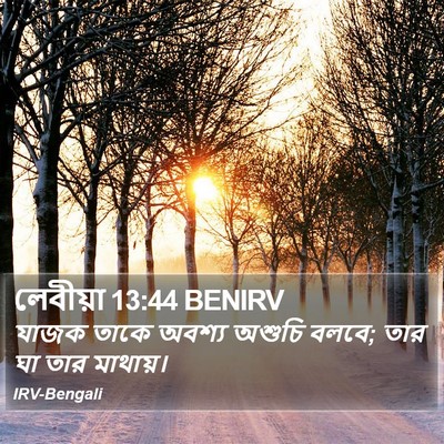 লেবীয়া 13:44 BENIRV Bible Verse Image