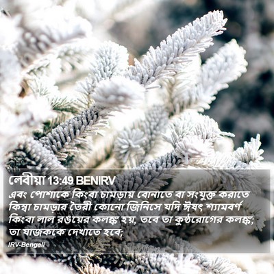 লেবীয়া 13:49 BENIRV Bible Verse Image