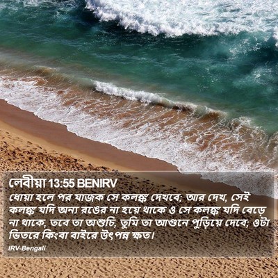 লেবীয়া 13:55 BENIRV Bible Verse Image