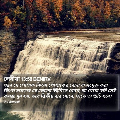লেবীয়া 13:58 BENIRV Bible Verse Image