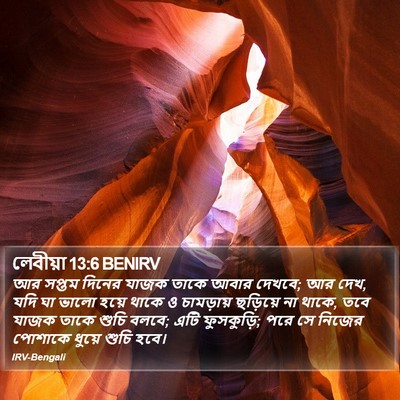 লেবীয়া 13:6 BENIRV Bible Verse Image
