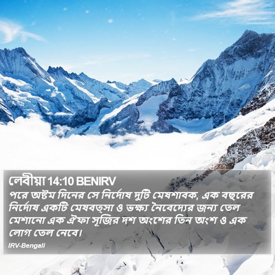 লেবীয়া 14:10 BENIRV Bible Verse Image