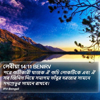 লেবীয়া 14:11 BENIRV Bible Verse Image