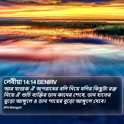 লেবীয়া 14:14 BENIRV Bible Verse Image