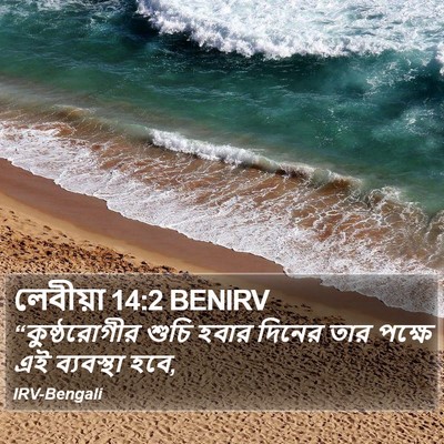 লেবীয়া 14:2 BENIRV Bible Verse Image