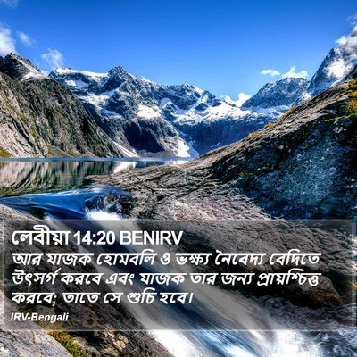 লেবীয়া 14:20 BENIRV Bible Verse Image