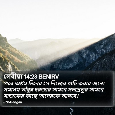 লেবীয়া 14:23 BENIRV Bible Verse Image