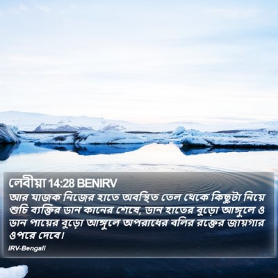 লেবীয়া 14:28 BENIRV Bible Verse Image