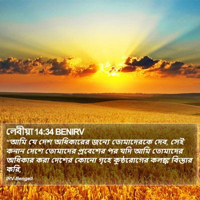 লেবীয়া 14:34 BENIRV Bible Verse Image