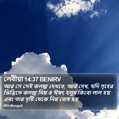 লেবীয়া 14:37 BENIRV Bible Verse Image