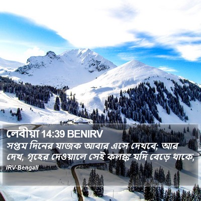 লেবীয়া 14:39 BENIRV Bible Verse Image