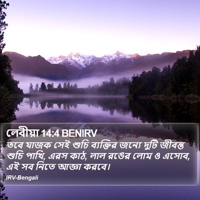 লেবীয়া 14:4 BENIRV Bible Verse Image