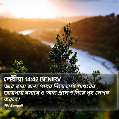 লেবীয়া 14:42 BENIRV Bible Verse Image
