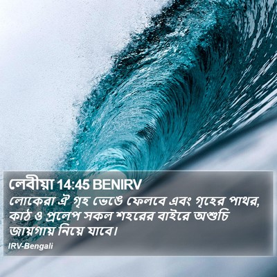 লেবীয়া 14:45 BENIRV Bible Verse Image