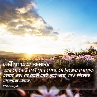 লেবীয়া 14:47 BENIRV Bible Verse Image