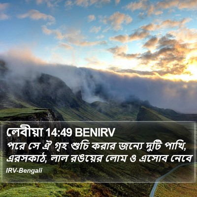 লেবীয়া 14:49 BENIRV Bible Verse Image