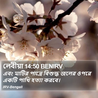 লেবীয়া 14:50 BENIRV Bible Verse Image