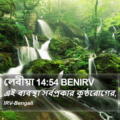 লেবীয়া 14:54 BENIRV Bible Verse Image