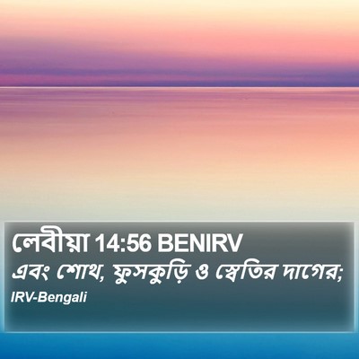 লেবীয়া 14:56 BENIRV Bible Verse Image