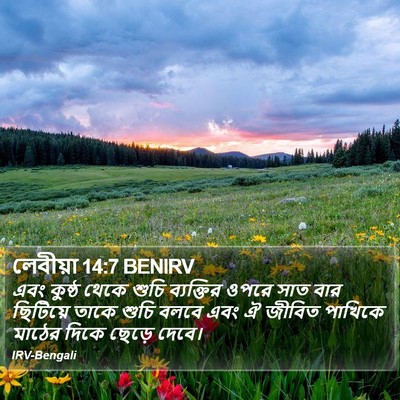 লেবীয়া 14:7 BENIRV Bible Verse Image