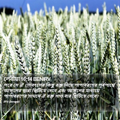 লেবীয়া 16:14 BENIRV Bible Verse Image