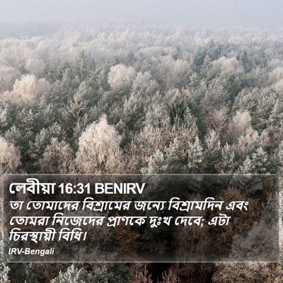 লেবীয়া 16:31 BENIRV Bible Verse Image