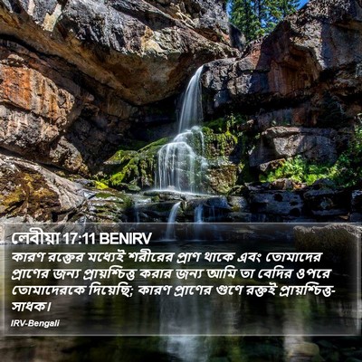লেবীয়া 17:11 BENIRV Bible Verse Image
