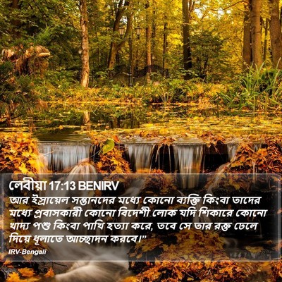 লেবীয়া 17:13 BENIRV Bible Verse Image