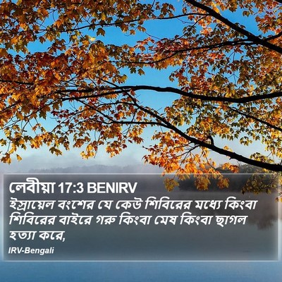 লেবীয়া 17:3 BENIRV Bible Verse Image