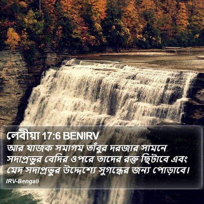 লেবীয়া 17:6 BENIRV Bible Verse Image