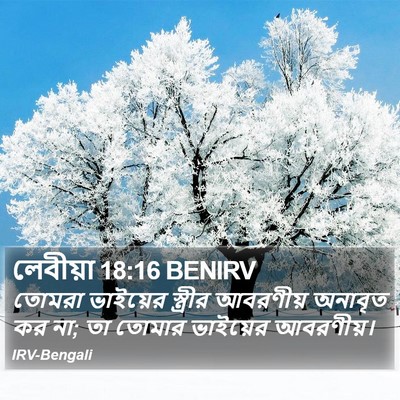 লেবীয়া 18:16 BENIRV Bible Verse Image