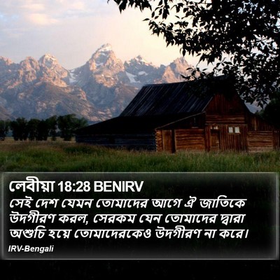 লেবীয়া 18:28 BENIRV Bible Verse Image
