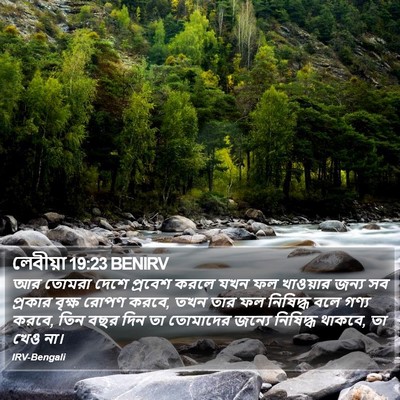 লেবীয়া 19:23 BENIRV Bible Verse Image