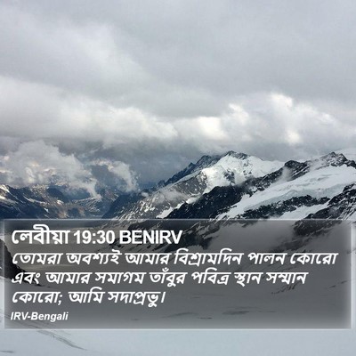 লেবীয়া 19:30 BENIRV Bible Verse Image