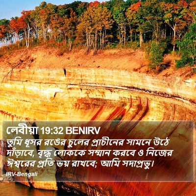 লেবীয়া 19:32 BENIRV Bible Verse Image
