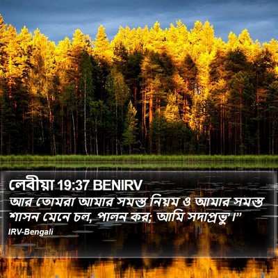 লেবীয়া 19:37 BENIRV Bible Verse Image