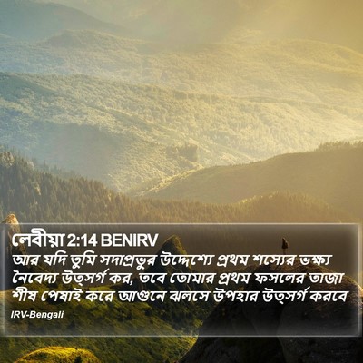 লেবীয়া 2:14 BENIRV Bible Verse Image