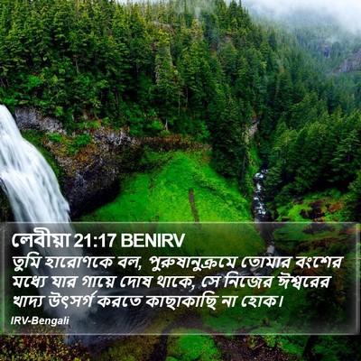লেবীয়া 21:17 BENIRV Bible Verse Image