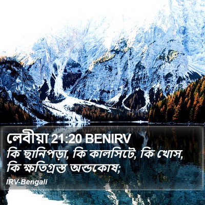 লেবীয়া 21:20 BENIRV Bible Verse Image