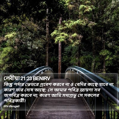 লেবীয়া 21:23 BENIRV Bible Verse Image