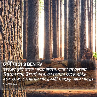 লেবীয়া 21:8 BENIRV Bible Verse Image