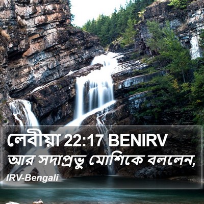 লেবীয়া 22:17 BENIRV Bible Verse Image