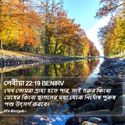 লেবীয়া 22:19 BENIRV Bible Verse Image