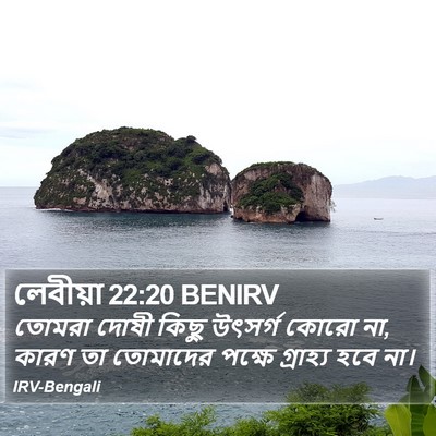 লেবীয়া 22:20 BENIRV Bible Verse Image